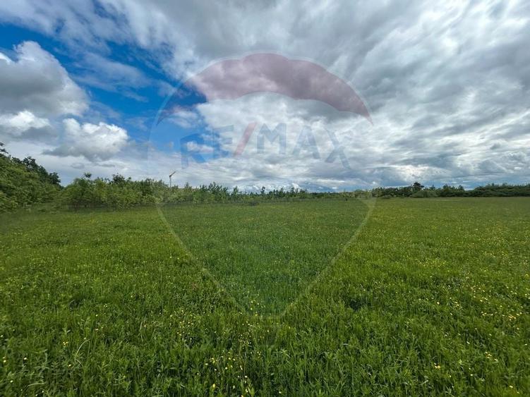 Teren 4,000mp Cicarlau / Strada Principala intravilan - 3