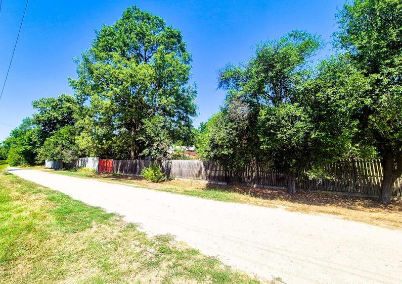 Casa , teren intravilan Urlueni Barla Arges - 20