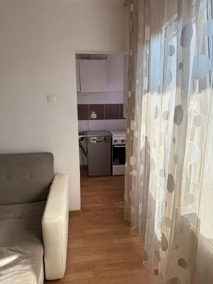 Garsoniera luminosa de vanzare-Micalaca - 5