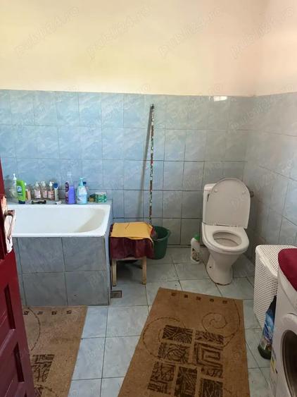 Proprietar,vind casa cu teren,acte la zi,situata in sat Paltinisu comuna Cazane?ti,judet Mehedin?i - 1