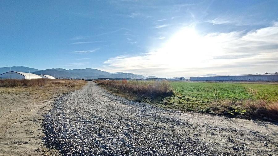 Teren Industrial - 8