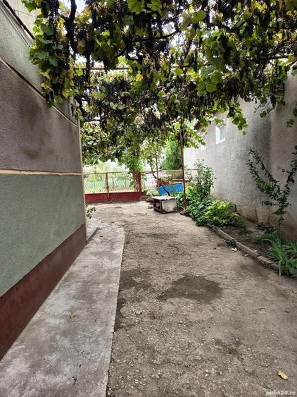 Casa de vanzare in centrul localita?ii Tamaseu (jude?ul Bihor), aproape de Oradea! - 9