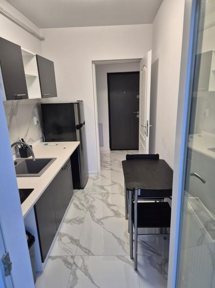 Apartament cu curte si parcare .lunca cetatuii - 4