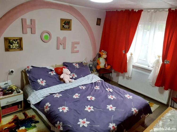 Vand casa noua 2025 zona vidin,strada teiului - 1