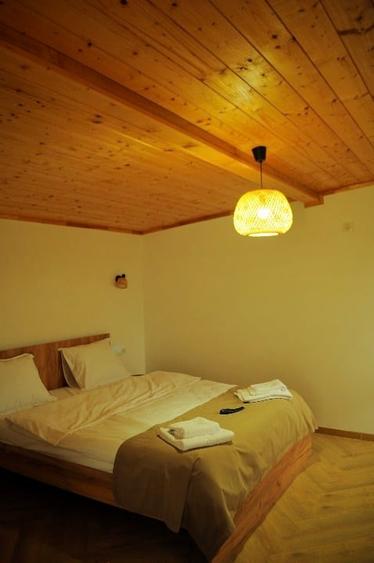 Casă premium de închiriat în Stupinii Prejmerului - 12