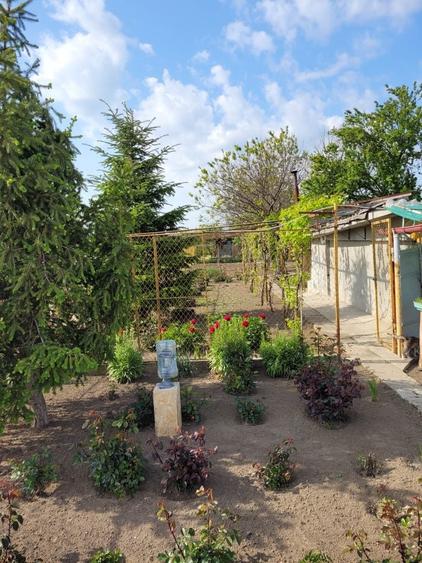 Vand casa com Comana - 3