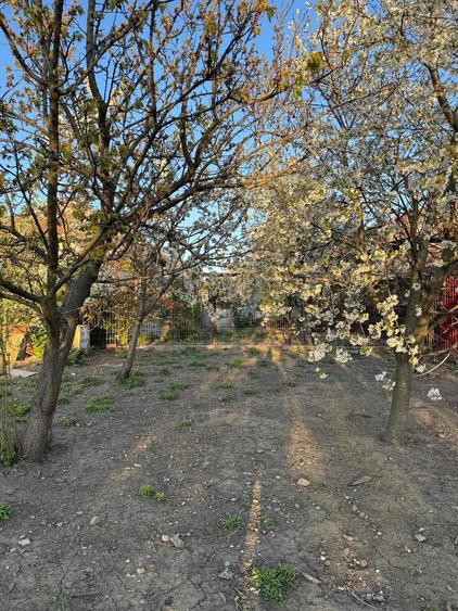 Vand casa cu gradina in Vanju-Mare jud. MH, situata intr-o zona buna si linistita a orasului. - 2