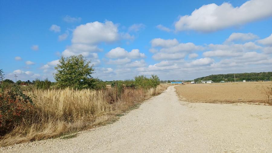 Teren Izvorani -Padure -COR - 7