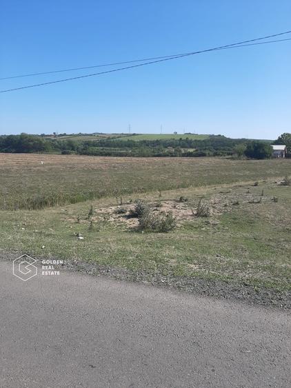 Terenuri 3699 mp, oras Lipova - 1