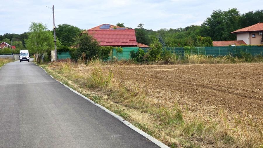 The Forest Collection -LOT 970mp- Strada asfaltata | Padurea Snagov -Ciofliceni - 5