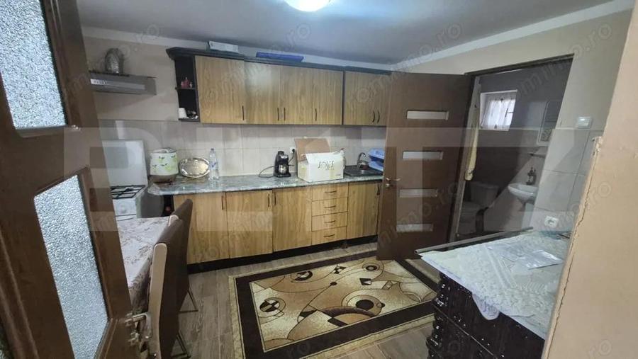 Casa cu 2 camere, 65 mp, teren 2910 mp, in Viile Satu Mare - 11