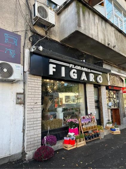 Vand spatiu comercial Pache Protopopescu - 2