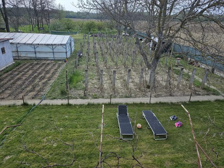 Casa in Comuna Nuci IF - 3