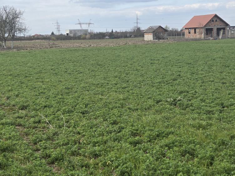 Vand teren extravilan la capatul strazii Aleco Russo in spate la noul CBA - 4