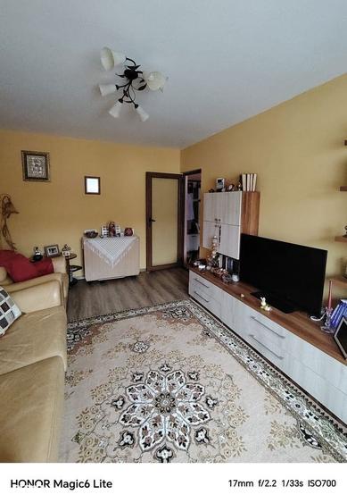 Apartament cu 3 camere, decomandat, mobilat si utilat, Pacurari - 4