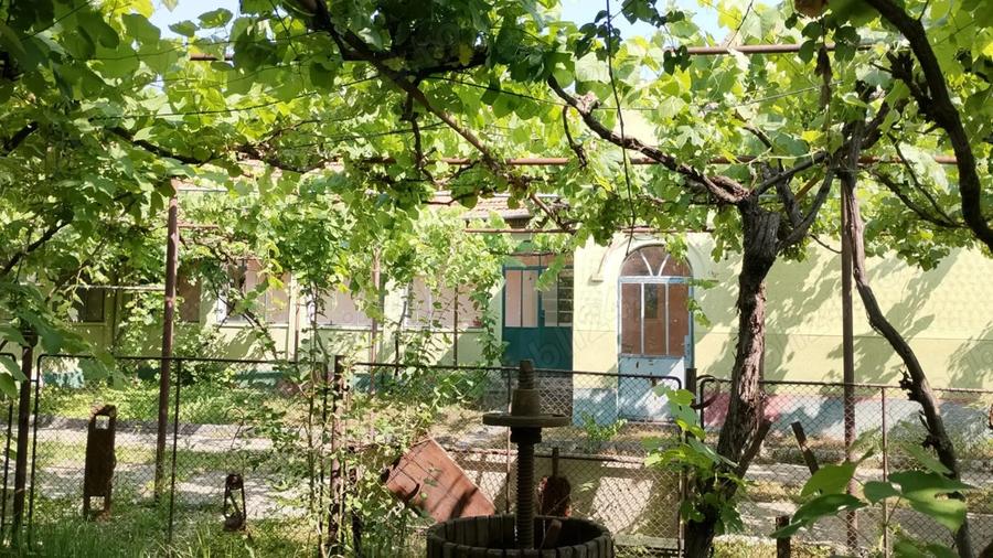 Vand casa cu teren 5725 mp, livada 100 pomi fructiferi, hala 220 mp in Dragoiesti, jud Timis - 2