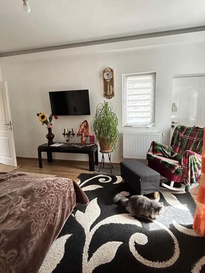 Casă individuală Buftea, 3.162 mp teren, ieșire spre lac - 7