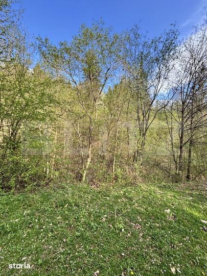 Teren extravilan, 2.8 ha, in zona ?andru, Campulung Moldovenesc - 1