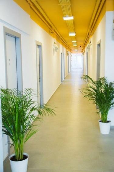 Garsoniera Sector 1 Comision 0% - fara agentii - 8