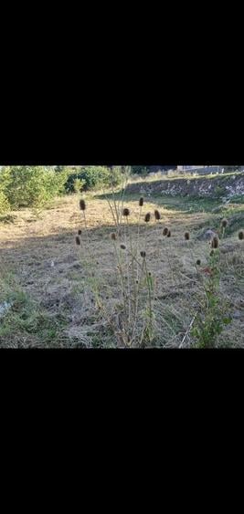 Teren de 250 mp, în Deve