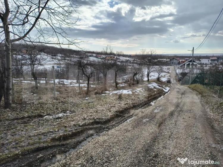 Teren în Păulești
