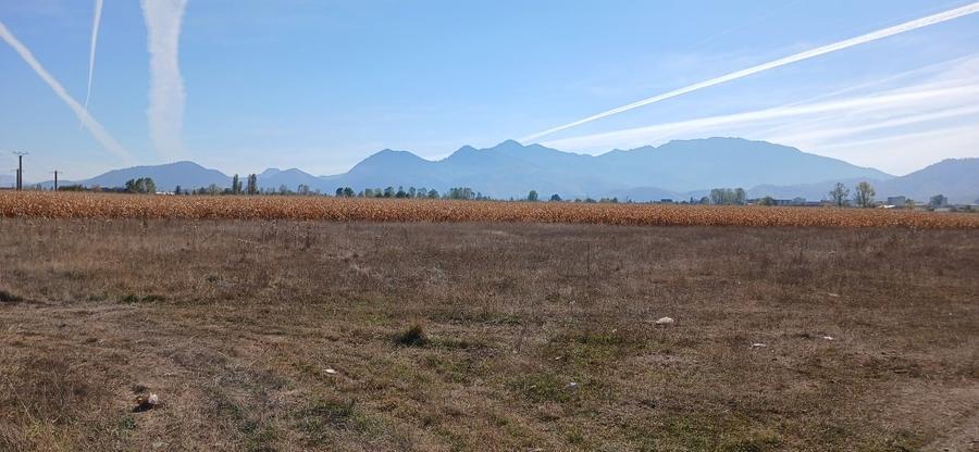 Teren Construcții intravilan de 1500 mp, în Craiter