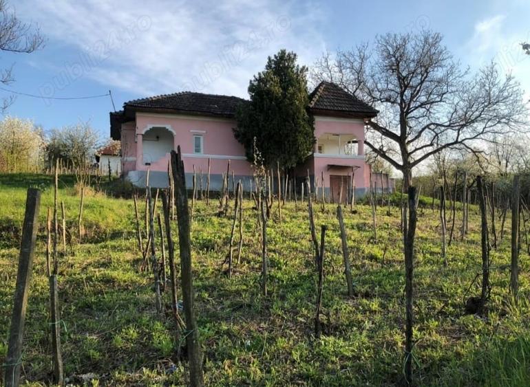 Casă cu 2 camere cu Teren 5000 Mp în Gura Motrului