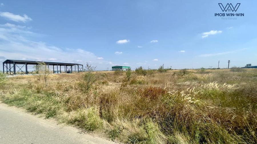Teren Construcții intravilan de 6090 mp, în Albota