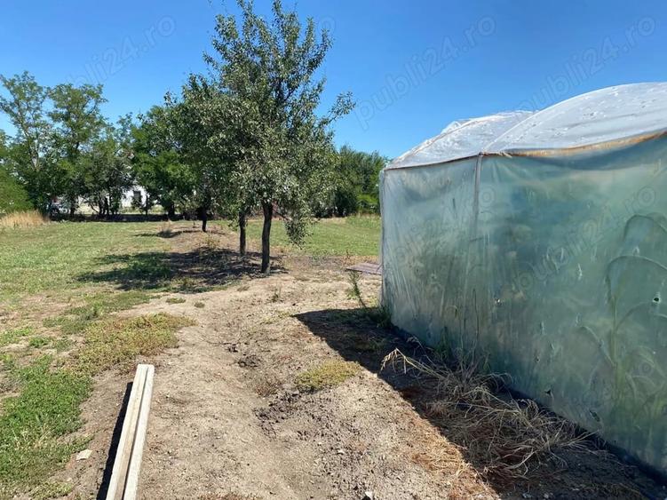 Casă cu 3 camere în Jamu Mare