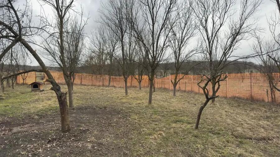 Teren de 1064 mp, în Bârlea