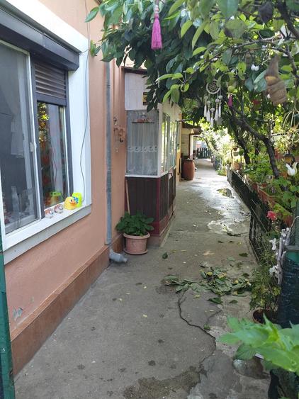 Casă cu 3 camere cu Teren 183 Mp în Viilor
