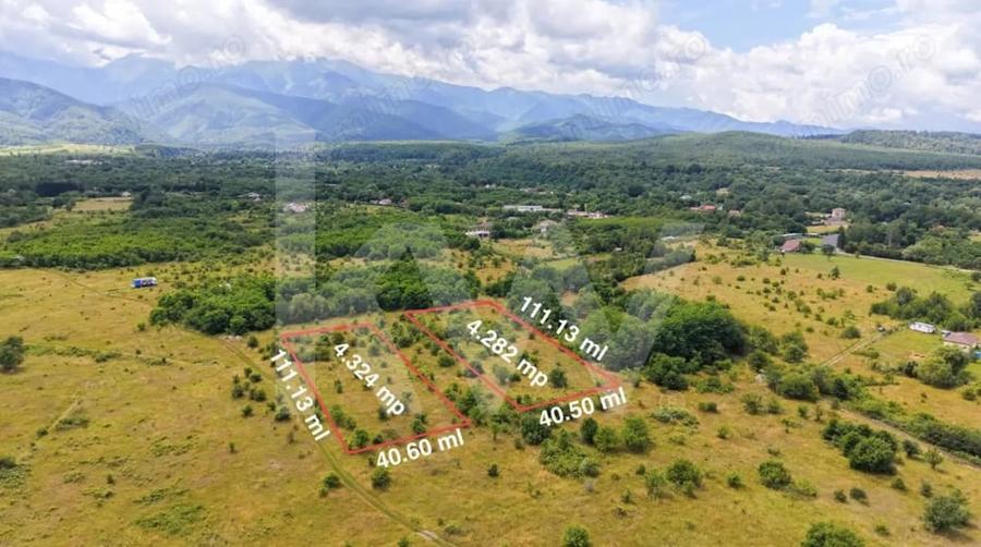Teren extravilan de vanzare - Valea Avrigului, Sibiu - 11