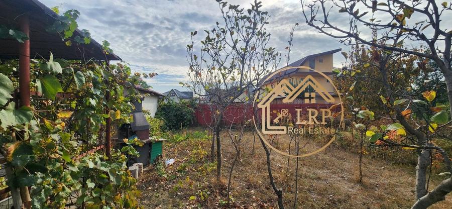 [DOMENIU PRIVAT] Vila deosebita in Inima Orasului Voluntari | Teren 2.500 mp | - 33