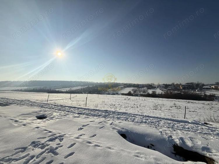 De vanzare Teren Intravilan Viile Satu Mare 1439 MP/ZONA FOARTE BUNA - 5