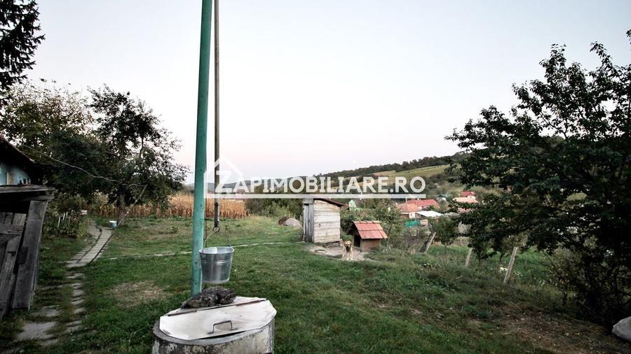 De vanzare 2 case cu 4.900 mp teren, Livezeni 0% comision - 12