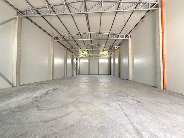 Hală de închiriat – Calea Șagului, Timișoara - 1