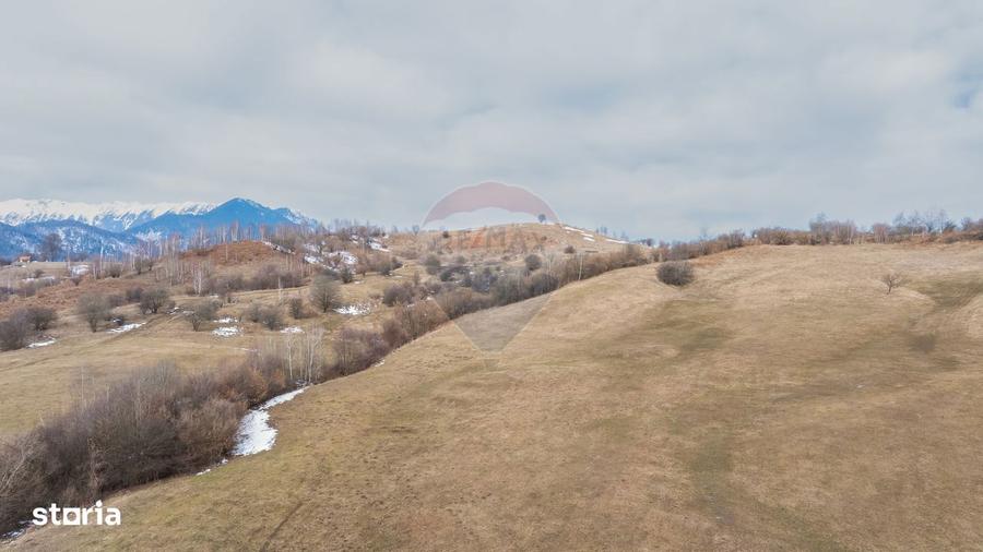 Teren Tohanul Nou 5602mp - 10