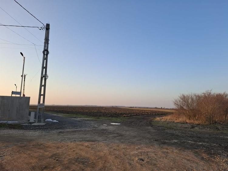 DARZA - CREVEDIA , TEREN INTRAVILAN  20.000 MP - 1