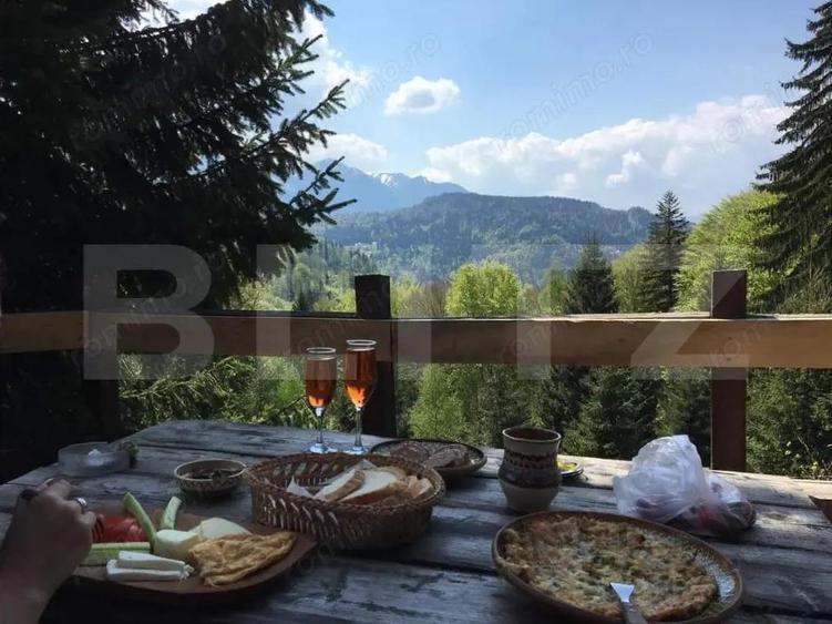 Complex turistic eco-integrat Predeal (Trei Brazi) - 2