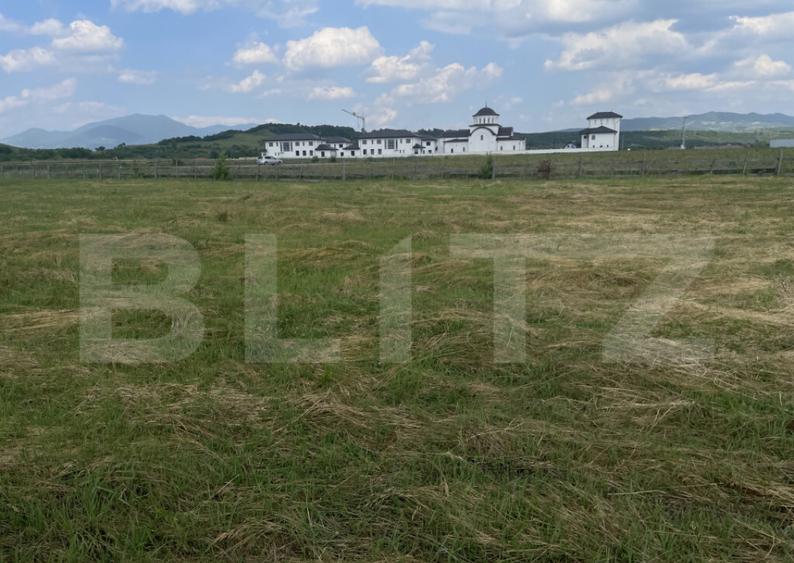 Teren extravilan 1200 mp Dorolea, aproape de Manastire - 7