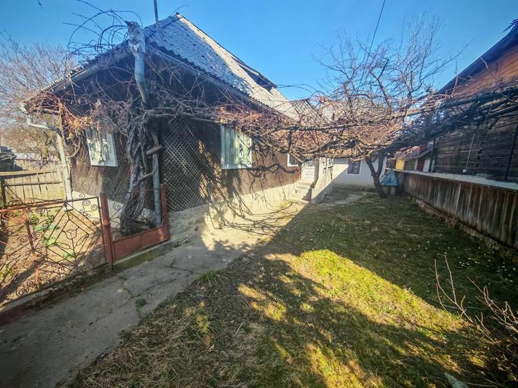 Casa de vanzare dragomiresti - 2