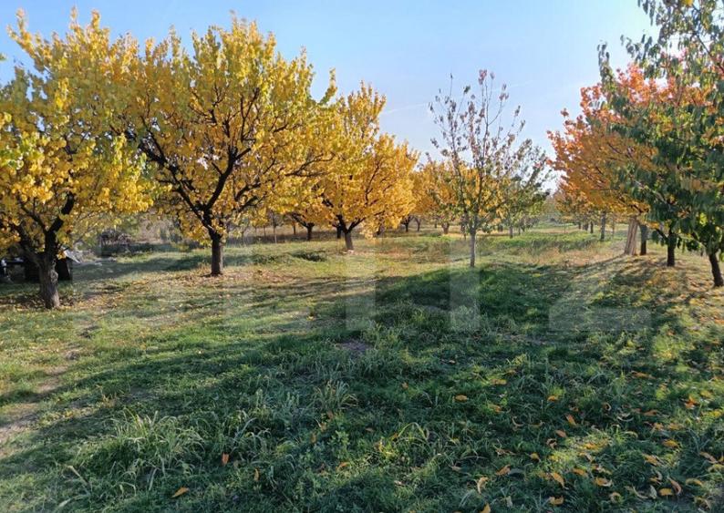 Teren Intravilan 6300 mp Magurele Prahova , Oportunitate ! - 1