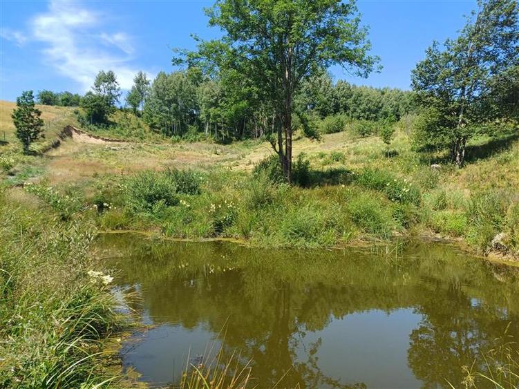 Teren Construcții intravilan de 6889 mp, în Brebu Nou