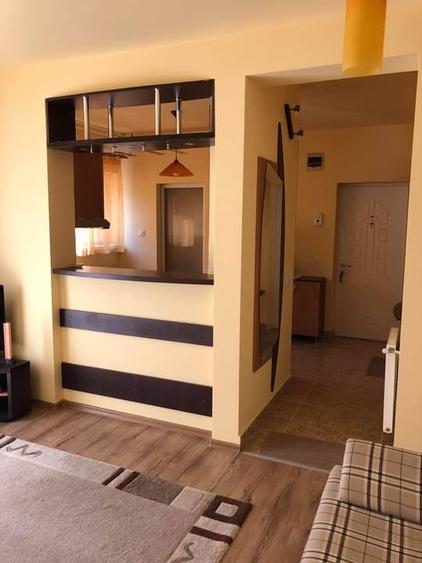 Apartament cu o camera de inchiriat in zona Plopilor,mobilat,utilat,parcare . - 1