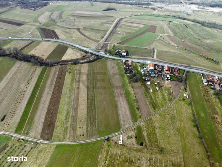 RECO, Teren cu livada de ciresi, Zona Auseu, Bihor - 2