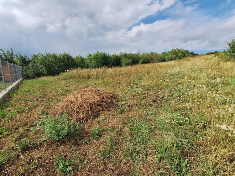 Oportunitate! Teren intravilan de vanzare, 2000 mp., Tureni - 3