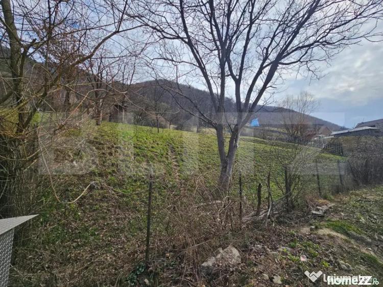 Teren intravilan generos de 4000 mp, cu priveli?te montana - 6