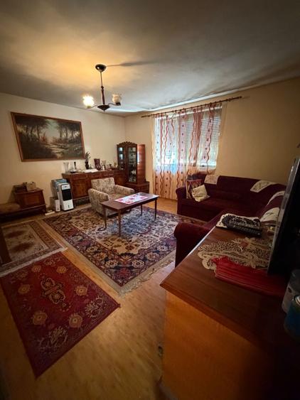 Casa de vanzare cu teren in Halmeu - 1