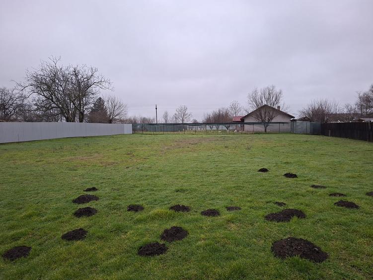 Calarasi, Ileana, str. Lalelelor - 1