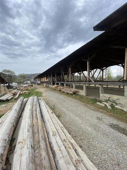 HALE-DEPOZIT DE VANZRE SI TEREN 10000 mp  AGAS jud.Bacau - 2